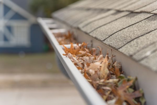 Leaf Barrier Installation in Stockbridge